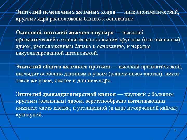 Эпителий печеночных желчных ходов — низкопризматический, круглые ядра расположены близко к основанию. Основной эпителий