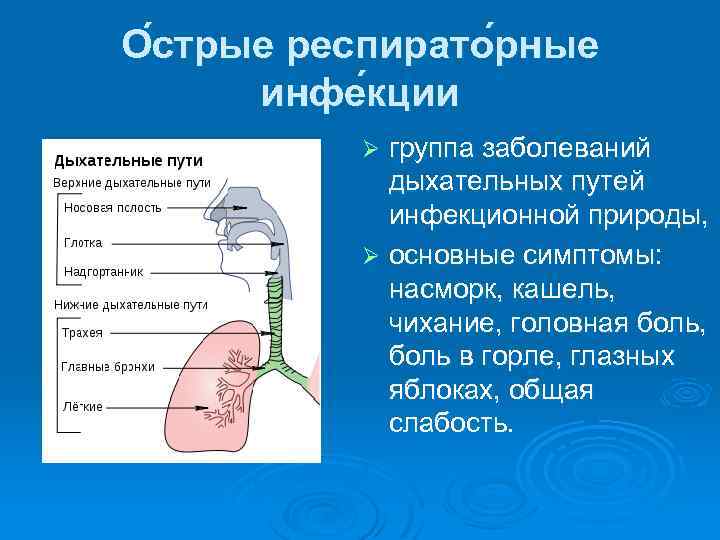 Воспаление дыхательных путей. Заболевания верхних дыхательных путей. Респираторные инфекции дыхательных путей. Острые заболевания дыхательных путей.