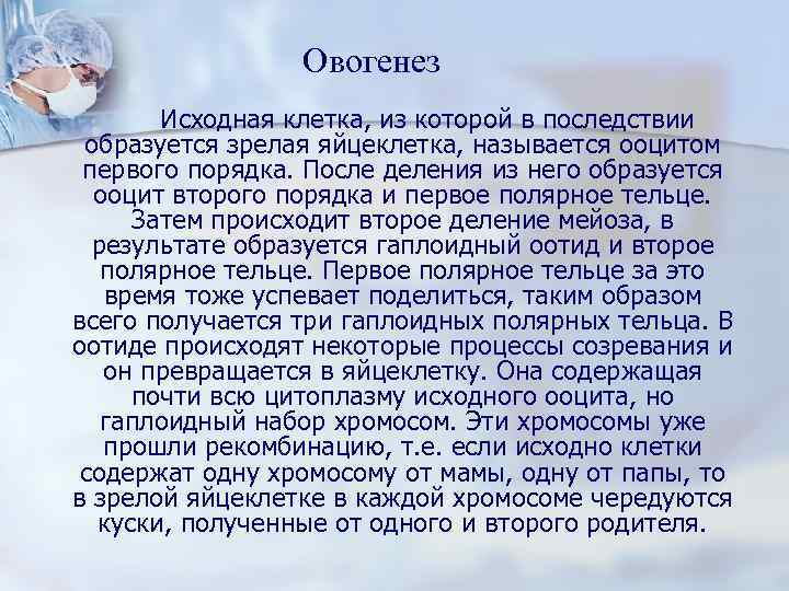 Овогенез Исходная клетка, из которой в последствии образуется зрелая яйцеклетка, называется ооцитом первого порядка.