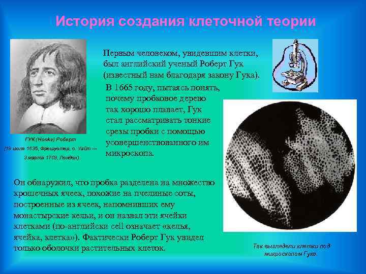 История создания клеточной теории ГУК (Hooke) Роберт (18 июля 1635, Фрешуотер, о. Уайт —