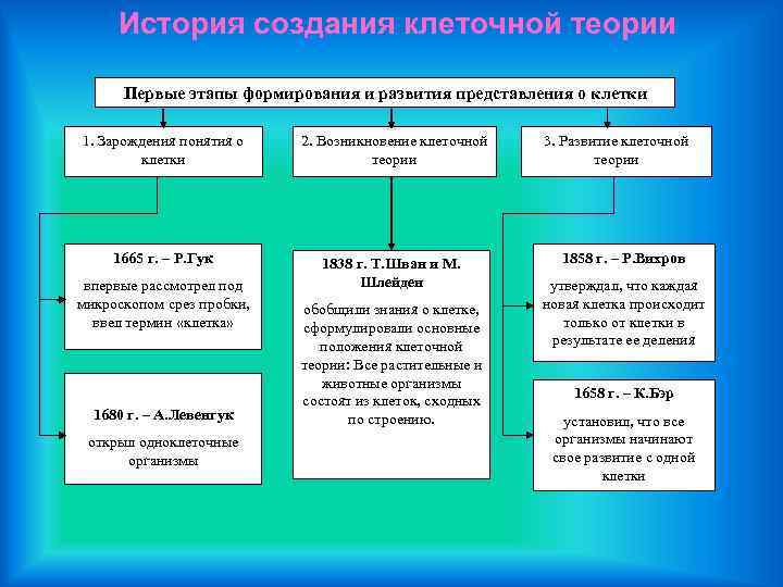 Роль клеточной теории в формировании современной естественнонаучной картины мира