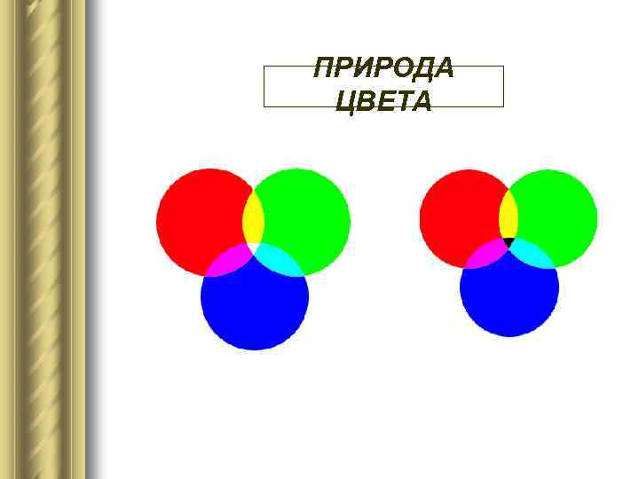 ПРИРОДА ЦВЕТА 