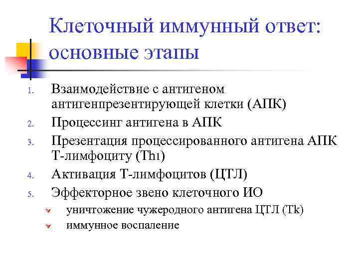 Клеточный иммунный ответ: основные этапы 1. 2. 3. 4. 5. Взаимодействие с антигеном антигенпрезентирующей