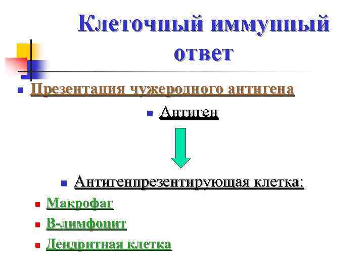 Клеточный иммунный ответ n Презентация чужеродного антигена n Антиген n n Антигенпрезентирующая клетка: Макрофаг