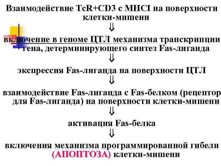 Взаимодействие Tc. R+CD 3 с МНСI на поверхности клетки-мишени включение в геноме ЦТЛ механизма