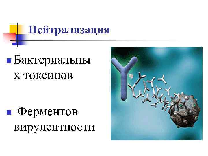 Нейтрализация n n Бактериальны х токсинов Ферментов вирулентности 