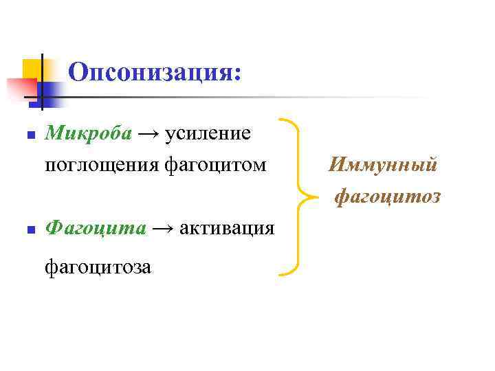 Опсонизация: n n Микроба → усиление поглощения фагоцитом Фагоцита → активация фагоцитоза Иммунный фагоцитоз