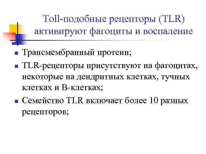 Toll-подобные рецепторы (TLR) активируют фагоциты и воспаление n n n Трансмембранный протеин; TLR-рецепторы присутствуют