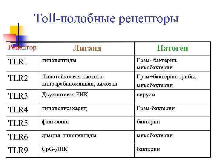 Toll-подобные рецепторы Рецептор Лиганд Патоген TLR 1 липопептиды Грам- бактерии, микобактерии TLR 2 Липотейхоевая