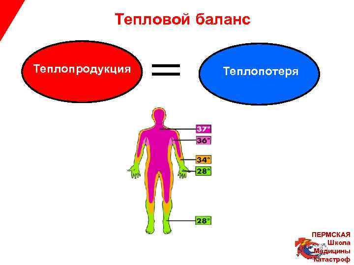 Тепловой баланс Теплопродукция Теплопотеря ПЕРМСКАЯ Школа Медицины Катастроф 