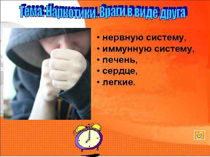  • нервную систему, • иммунную систему, • печень, • сердце, • легкие. 