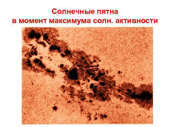 Солнечные пятна в момент максимума солн. активности 