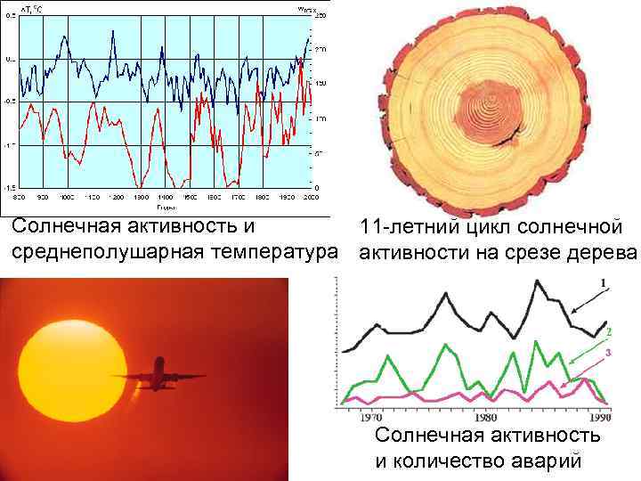 Солнечная активность и 11 -летний цикл солнечной среднеполушарная температура активности на срезе дерева Солнечная