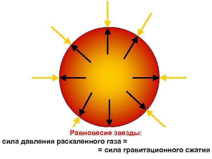 Равновесие звезды: сила давления раскаленного газа = = сила гравитационного сжатия 