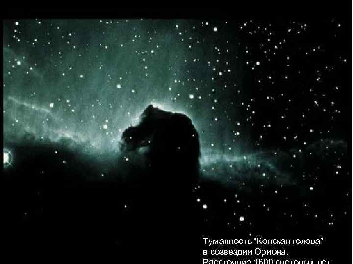 Туманность “Конская голова” в созвездии Ориона. 