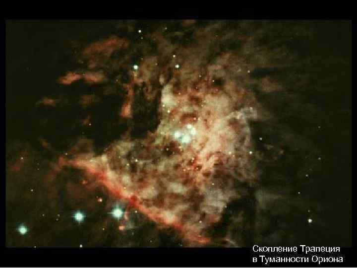 Скопление Трапеция в Туманности Ориона 
