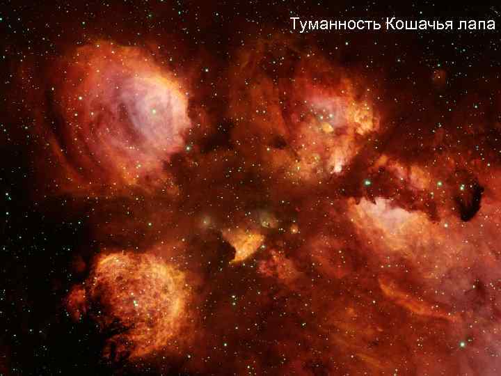 Туманность Кошачья лапа 