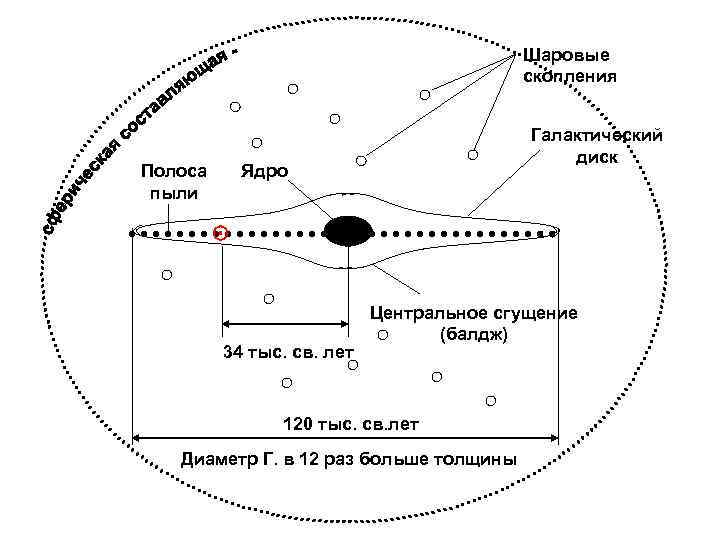 Шаровые скопления Полоса пыли Галактический диск Ядро ⊙ 34 тыс. св. лет Центральное сгущение