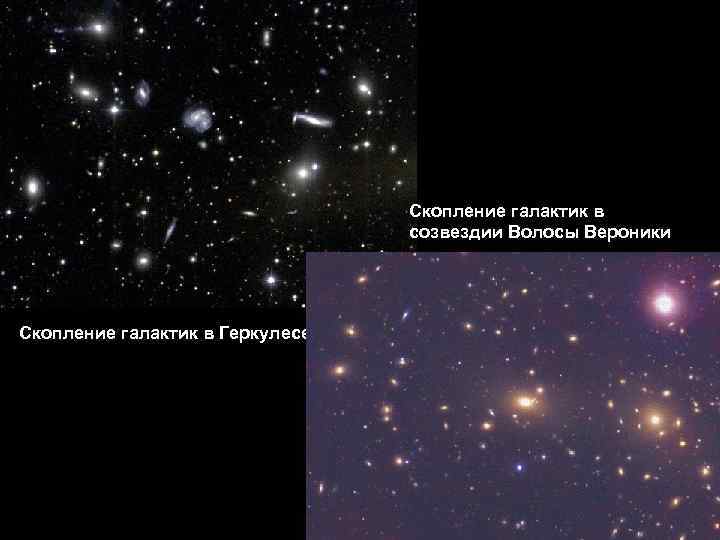 Скопление галактик в созвездии Волосы Вероники Скопление галактик в Геркулесе 