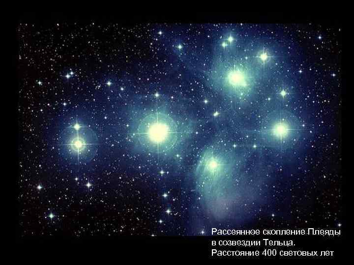 Рассеянное скопление Плеяды в созвездии Тельца. Расстояние 400 световых лет 