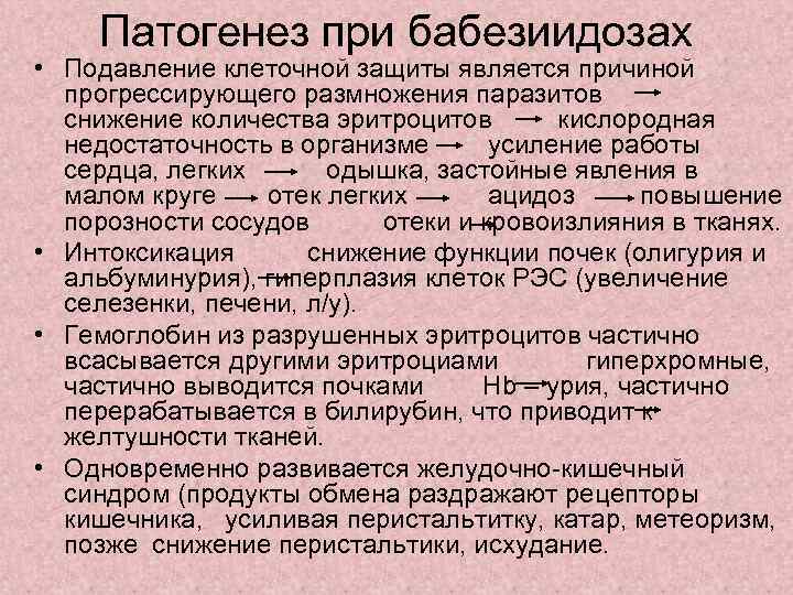 Патогенез при бабезиидозах • Подавление клеточной защиты является причиной прогрессирующего размножения паразитов снижение количества