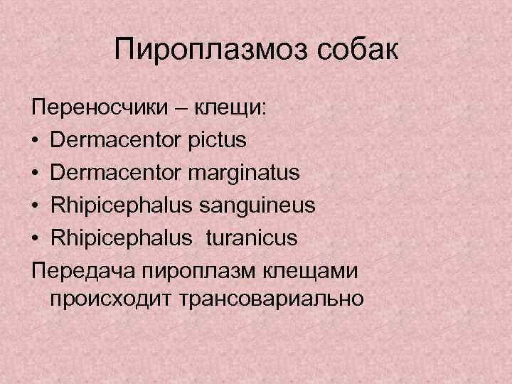 Пироплазмоз собак Переносчики – клещи: • Dermacentor pictus • Dermacentor marginatus • Rhipicephalus sanguineus