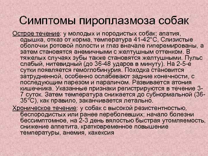 Симптомы пироплазмоза собак Острое течение: у молодых и породистых собак; апатия, одышка, отказ от