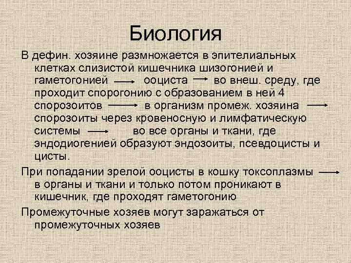 Биология В дефин. хозяине размножается в эпителиальных клетках слизистой кишечника шизогонией и гаметогонией ооциста