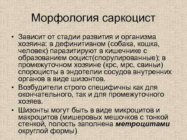 Морфология саркоцист • Зависит от стадии развития и организма хозяина: в дефинитивном (собака, кошка,