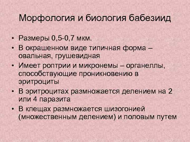 Морфология и биология бабезиид • Размеры 0, 5 -0, 7 мкм. • В окрашенном