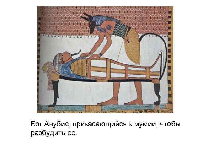 Бог Анубис, прикасающийся к мумии, чтобы разбудить ее. 