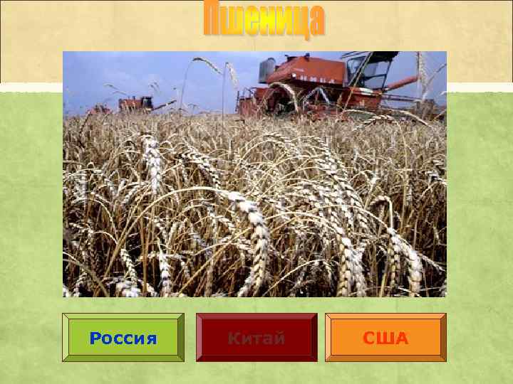 Россия Китай США 