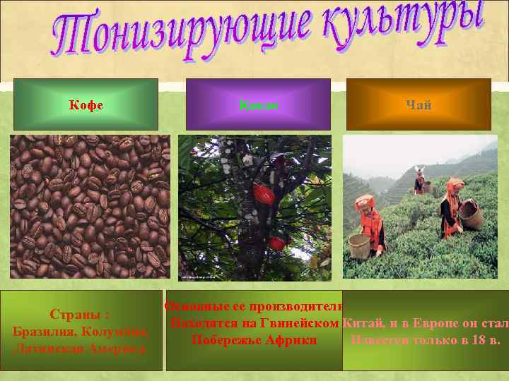 Кофе Страны : Бразилия, Колумбия, Латинская Америка. Какао Чай Основные ее производители Находятся на