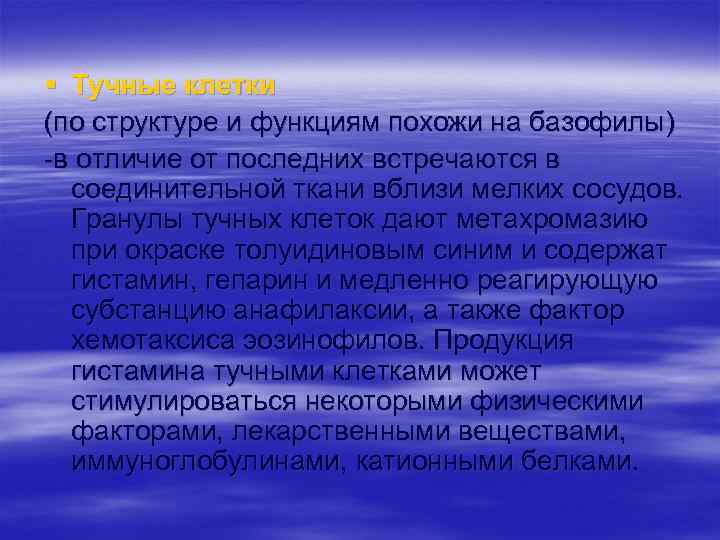 § Тучные клетки (по структуре и функциям похожи на базофилы) в отличие от последних