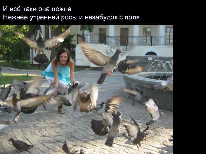 И всё таки она нежна Нежнее утренней росы и незабудок с поля 