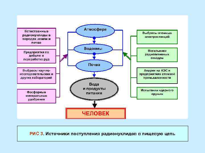 Схема миграции радионуклидов во внешней среде