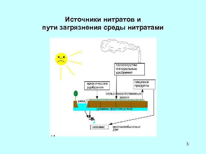 Нитриты 1. Источники нитритов и нитратов. Источники поступления нитратов. Нитраты и нитриты источники загрязнения. Основные источники пищевых нитратов.