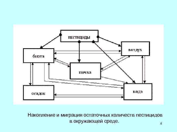 Накопление и миграция остаточных количеств пестицидов в окружающей среде. 6 