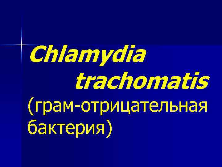 Chlamydia trachomatis (грам-отрицательная бактерия) 