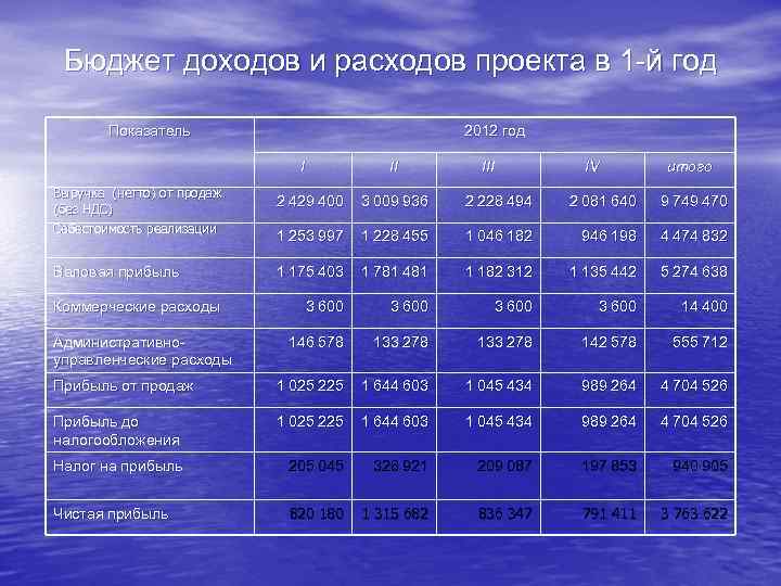 Бюджет доходов и расходов проекта