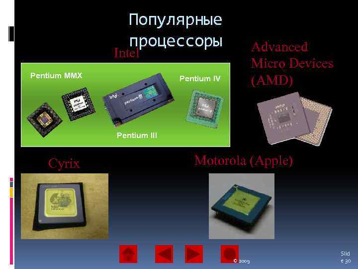 Популярные процессоры Advanced Micro Devices (AMD) Intel Pentium MMX Pentium IV Pentium III Cyrix