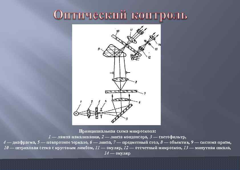 Принципиальная схема микроскопа: 1 — лампа накаливания, 2 — линза конденсора, 3 — светофильтр,