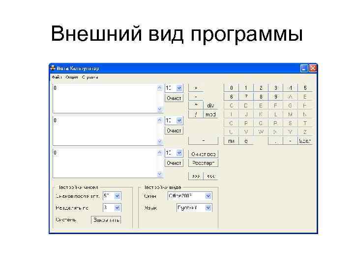 Внешний вид программы 