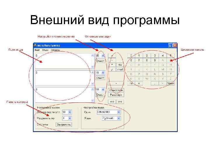 Внешний вид программы 