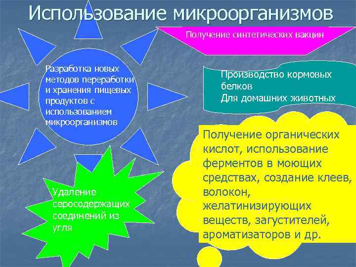 Использование микроорганизмов Получение синтетических вакцин Разработка новых методов переработки и хранения пищевых продуктов с
