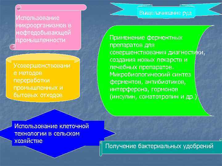 Использование микроорганизмов в нефтедобывающей промышленности Усовершенствовани е методов переработки промышленных и бытовых отходов Использование