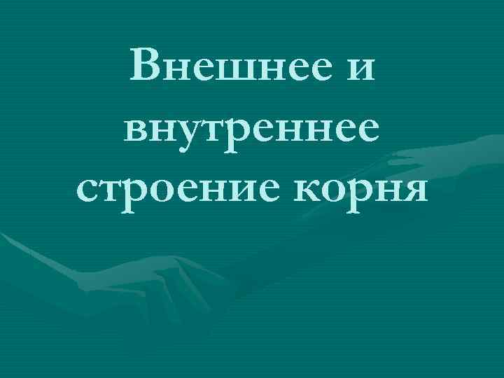 Внешнее и внутреннее строение корня 