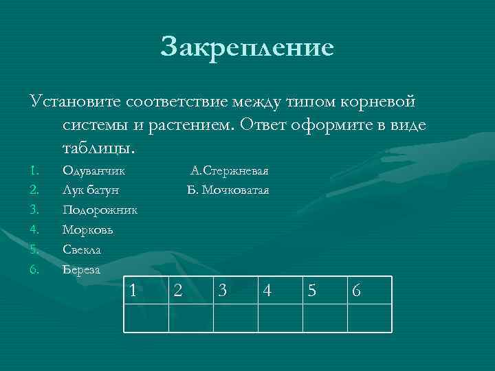 Закрепление Установите соответствие между типом корневой системы и растением. Ответ оформите в виде таблицы.