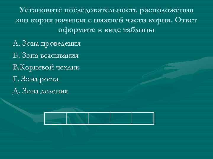 Установите последовательность расположения зон корня начиная с нижней части корня. Ответ оформите в виде