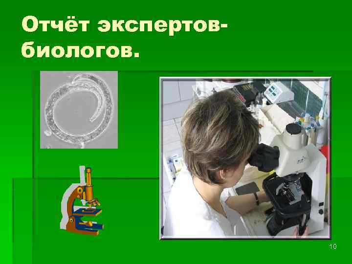 Отчёт экспертовбиологов. 10 